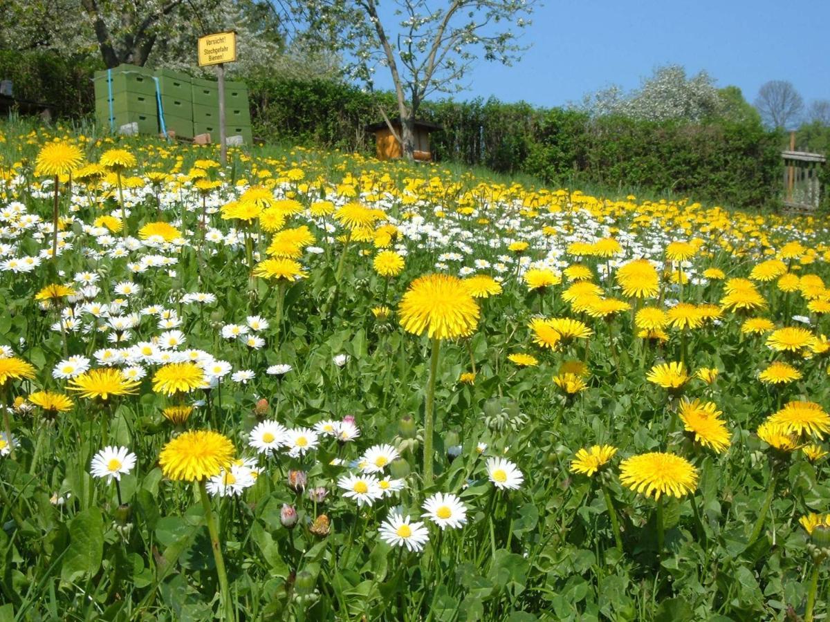 Ferienwohnungen "Allerleigruen" Langenroda Exteriér fotografie