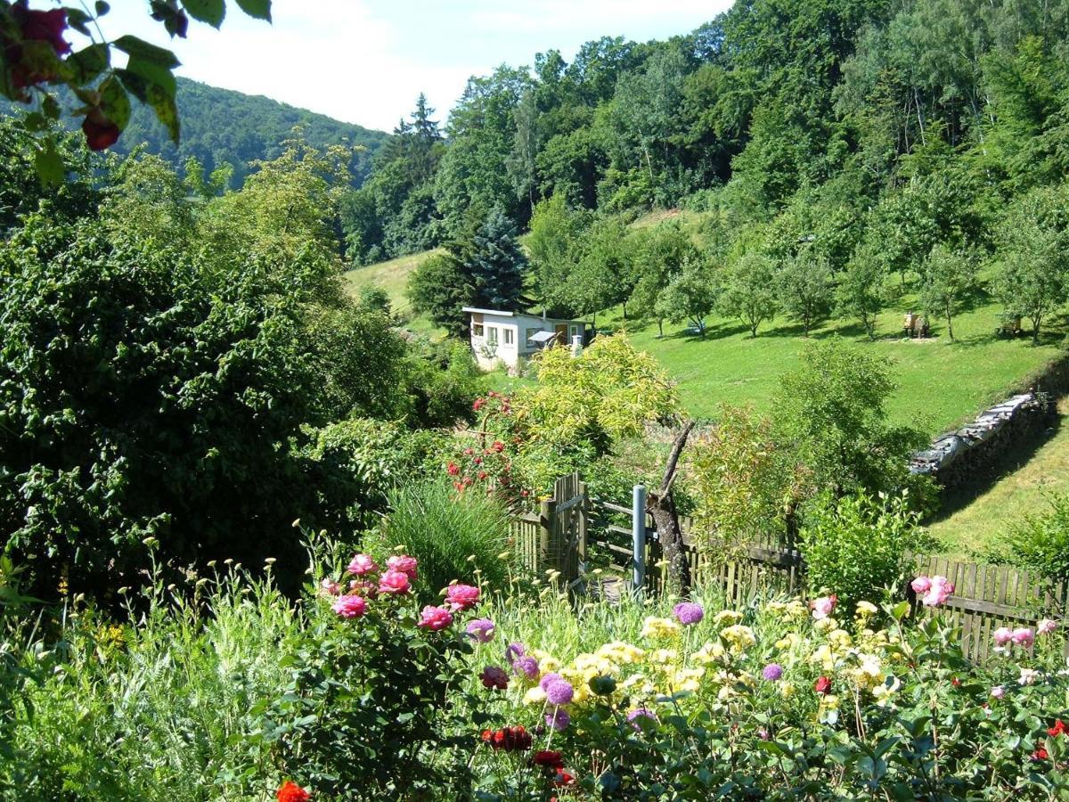 Ferienwohnungen "Allerleigruen" Langenroda Exteriér fotografie